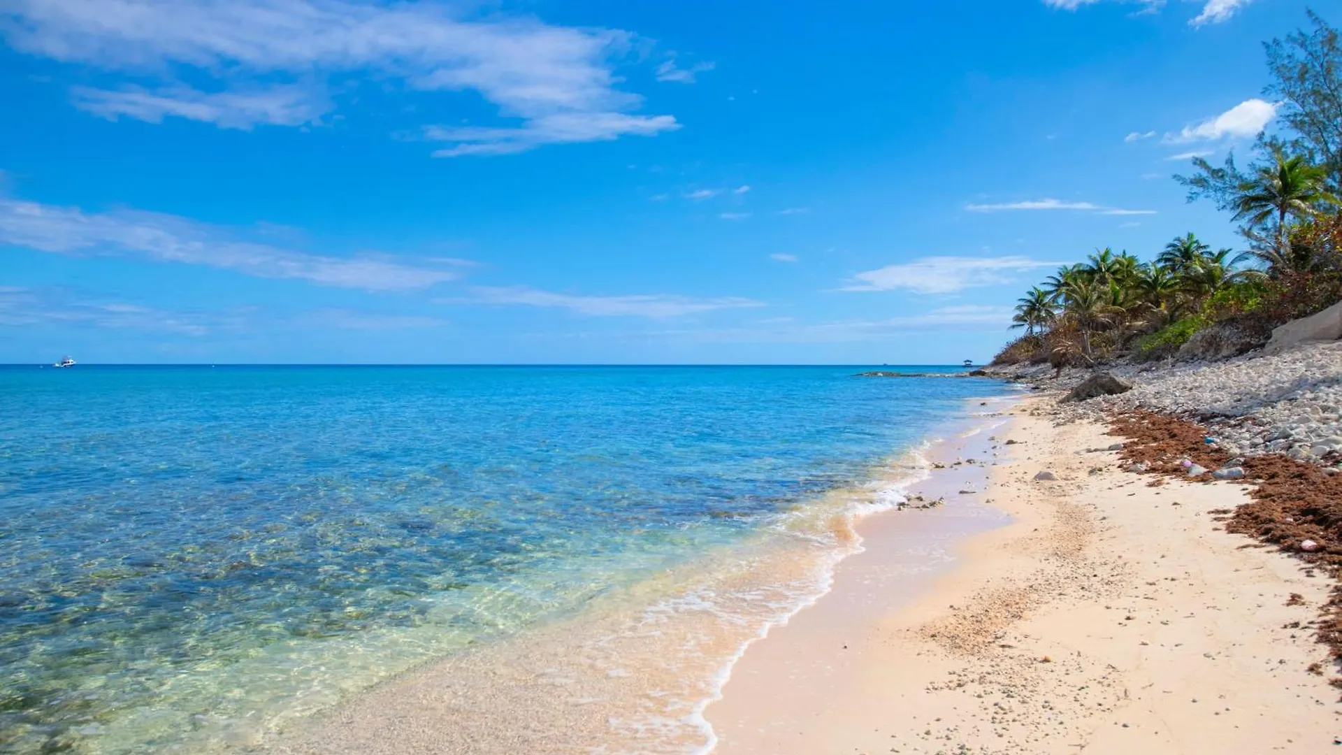 Silver Reef 3 Oceanfront Condo North Side Semesterbostad