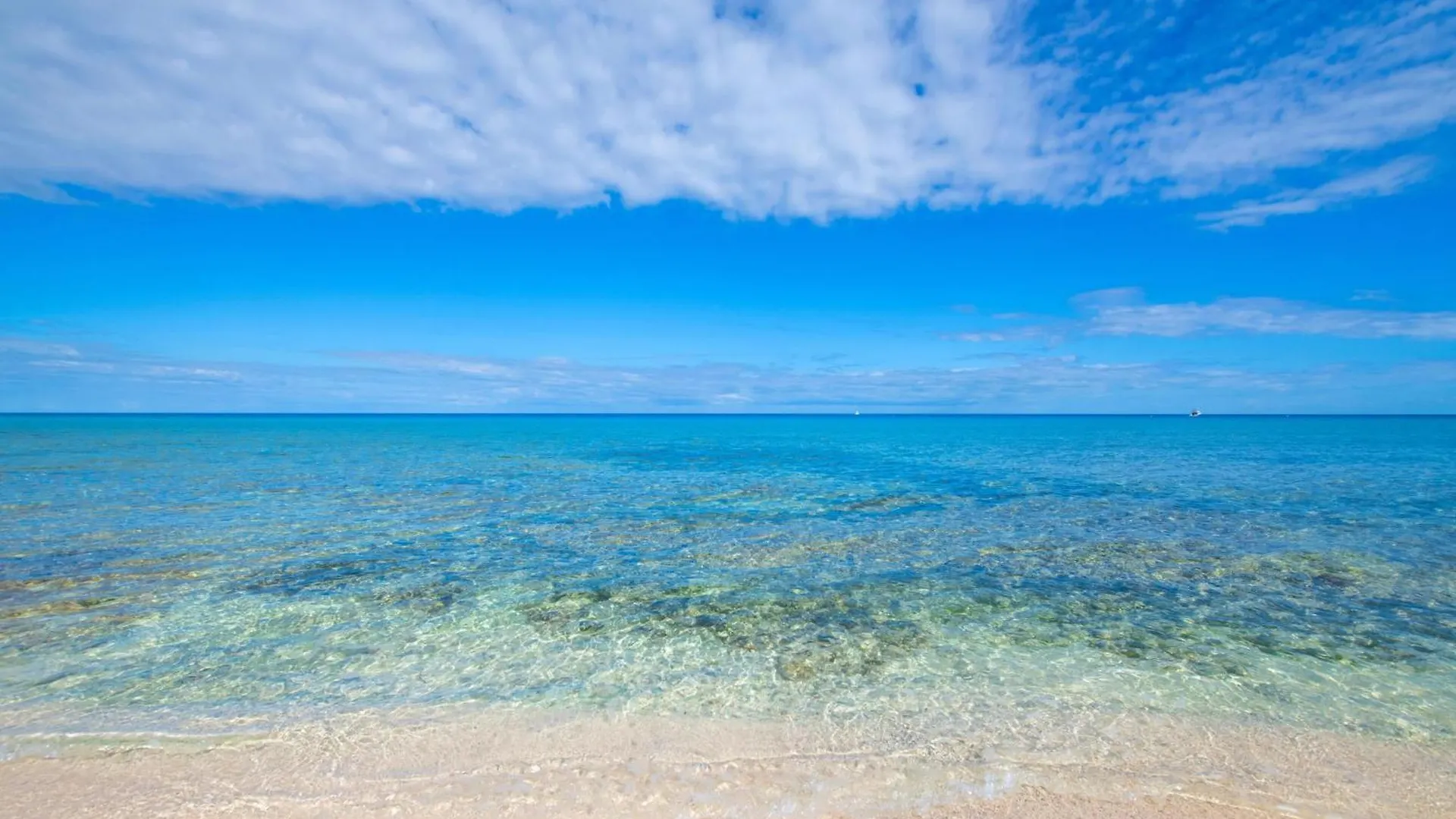Silver Reef 3 Oceanfront Condo North Side 0*,  Caymanöarna